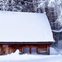 Заснежило... :: Nina Karyuk