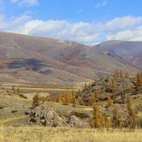 Курайские горки :: елена беликова