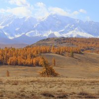 Осенние ландшафты :: елена беликова Осенние ландшафты :: елена беликова