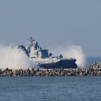 "Зубр" на "прогулке" :: Евгений Седов