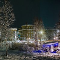 В новогоднем парке. Ухта. :: Николай Зиновьев В новогоднем парке. Ухта. :: Николай Зиновьев