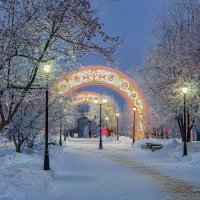 Яблоневая аллея в Ухте. Особенно красивы мелкие яблочки в инее :: Николай Зиновьев
