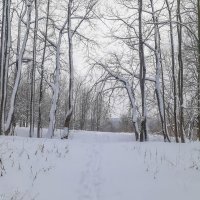 В последний день уходящего года... :: Владимир Жданов