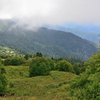 *** :: Александр Хаецкий