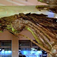 ** :: Vlad Сергиевич