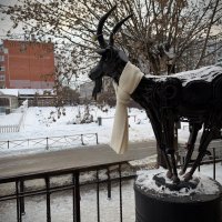 Козел- символ Твери! :: Любовь 