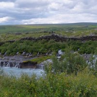 ** :: Александр Липовецкий