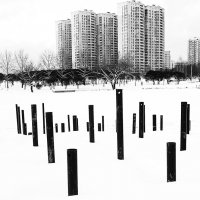 Вертикали. :: Василий Палий