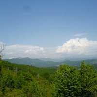 ДАГОМЫС :: Tata Wolf ДАГОМЫС :: Tata Wolf