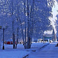 Утро января...Комсомольский бульвар в инее! :: Владимир 