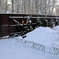 Бой со снегом продолжается :: Валерий Иванович Бой со снегом продолжается :: Валерий Иванович