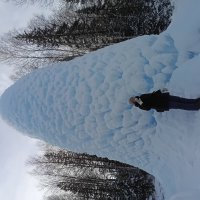 С Новым 2026 Годом! :: Галина Ильясова