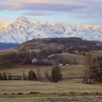 Утро в горах :: елена беликова