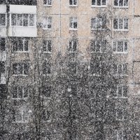 /// :: Виктор Никитенко /// :: Виктор Никитенко