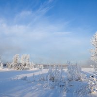 На берегу Енисея :: Владимир Звягин
