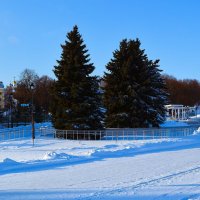 Чебоксары. Ели Московской набережной зимой. :: Пётр Чернега