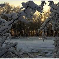 мороз и солнце.... :: Aleksandr Gal