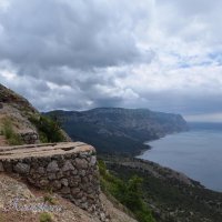 Природа Крыма :: Amazing Cosmea