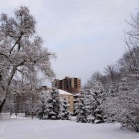 Декабрь Парк Южный, Калининград :: Рита Симонова