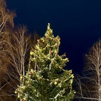 «С Новым 2026 годом! Будьте счастливы и здоровы!!!» :: Арина Невская