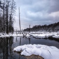 Незамерзайка :: Владимир 