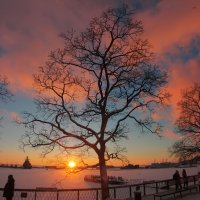 *** :: Сергей Григорьев *** :: Сергей Григорьев