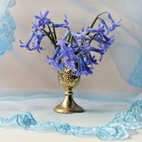 Первоцветы :: Надежда Куркина 