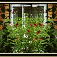 Перед окном :: Владимир Кроливец