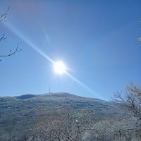 *** :: Екатерина Филипенко