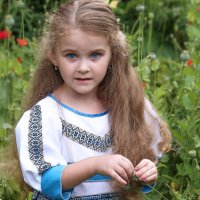 Голубоглазка :: елена беликова Голубоглазка :: елена беликова