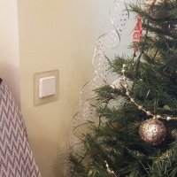 Матильда и ёлка :: Galina Solovova Матильда и ёлка :: Galina Solovova