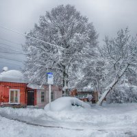 "Выпал снег" :: Давид Манакьян "Выпал снег" :: Давид Манакьян