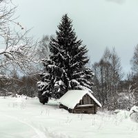 Старая банька :: Александр 