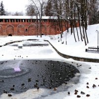 Утки в городском саду. :: Милешкин Владимир Алексеевич Утки в городском саду. :: Милешкин Владимир Алексеевич