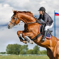 Конкур :: SanSan 