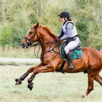 Кросс :: SanSan 