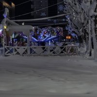 В Новогоднюю ночь :: Игорь Сикорский