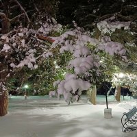 Вечерние зарисовки :: Любовь Сахарова