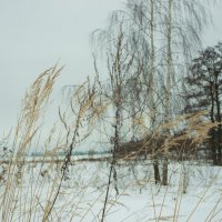 Зарисовочка. :: Николай 