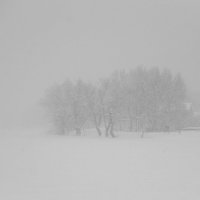 снегопад :: Владимир Носов