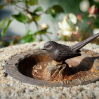 * :: Prinz Eugen * :: Prinz Eugen