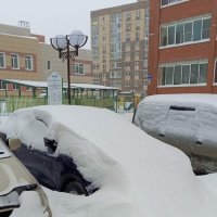 Подснежник :: Андрей Макурин