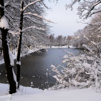 Декабрь Парк Южный, Калининград :: Рита Симонова