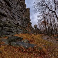 Утро уральской тропы. :: Юрий кот