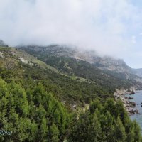 Природа Крыма :: Amazing Cosmea