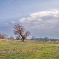 Волго-Ахтубинская пойма :: Олег Дорошенко