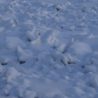 Много льда! :: Anna-Sabina Anna-Sabina Много льда! :: Anna-Sabina Anna-Sabina