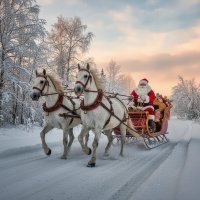 С новым годом!!! :: Ольга Cоломатина