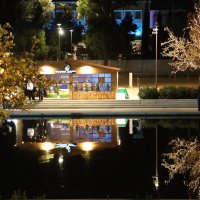 В парке. :: Оля Богданович