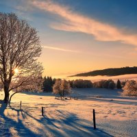 sunrise :: Elena Wymann sunrise :: Elena Wymann